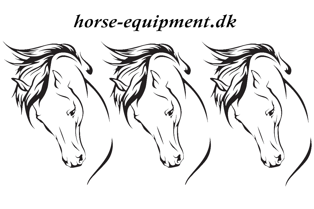 horse-equipment