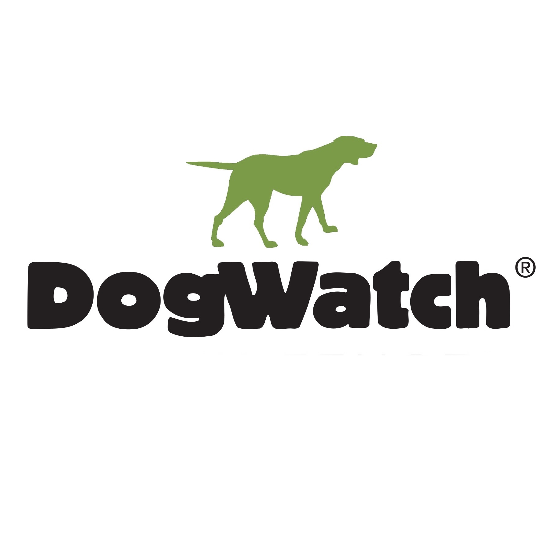 Dogwatch