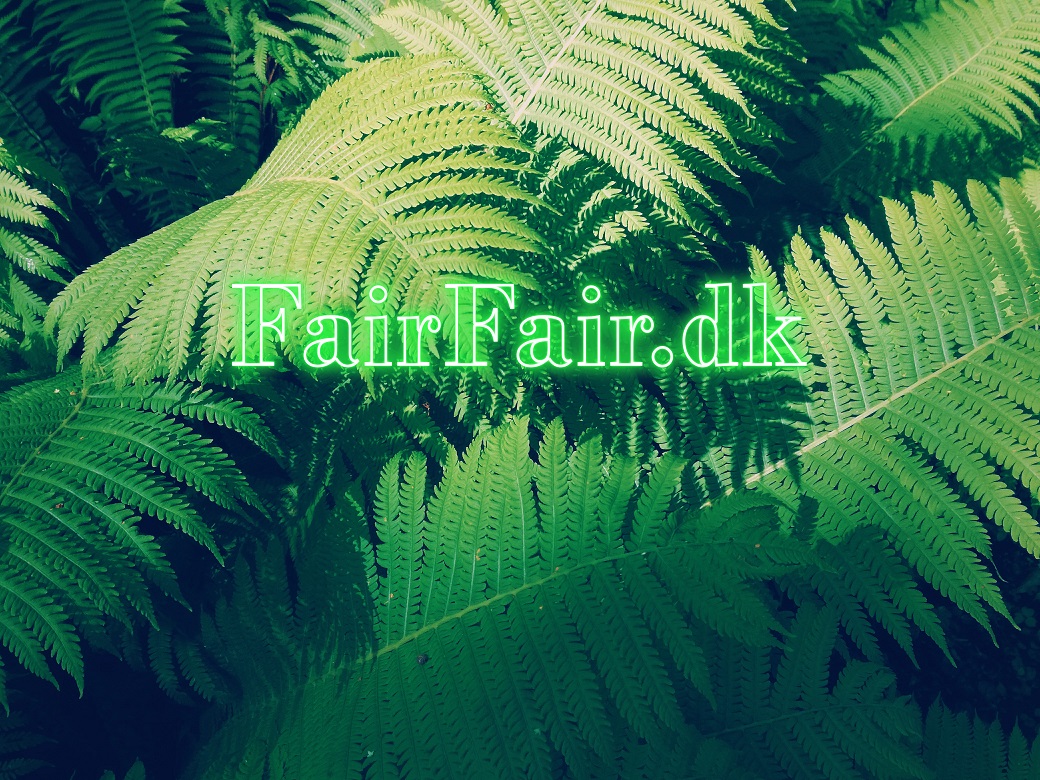 FairFair