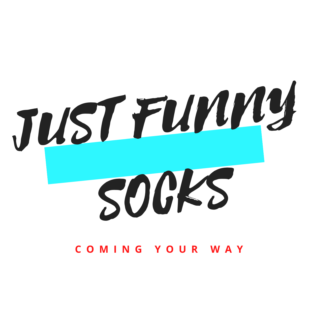 Just Funny Socks