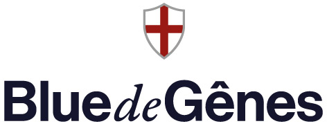 System Transport A/S