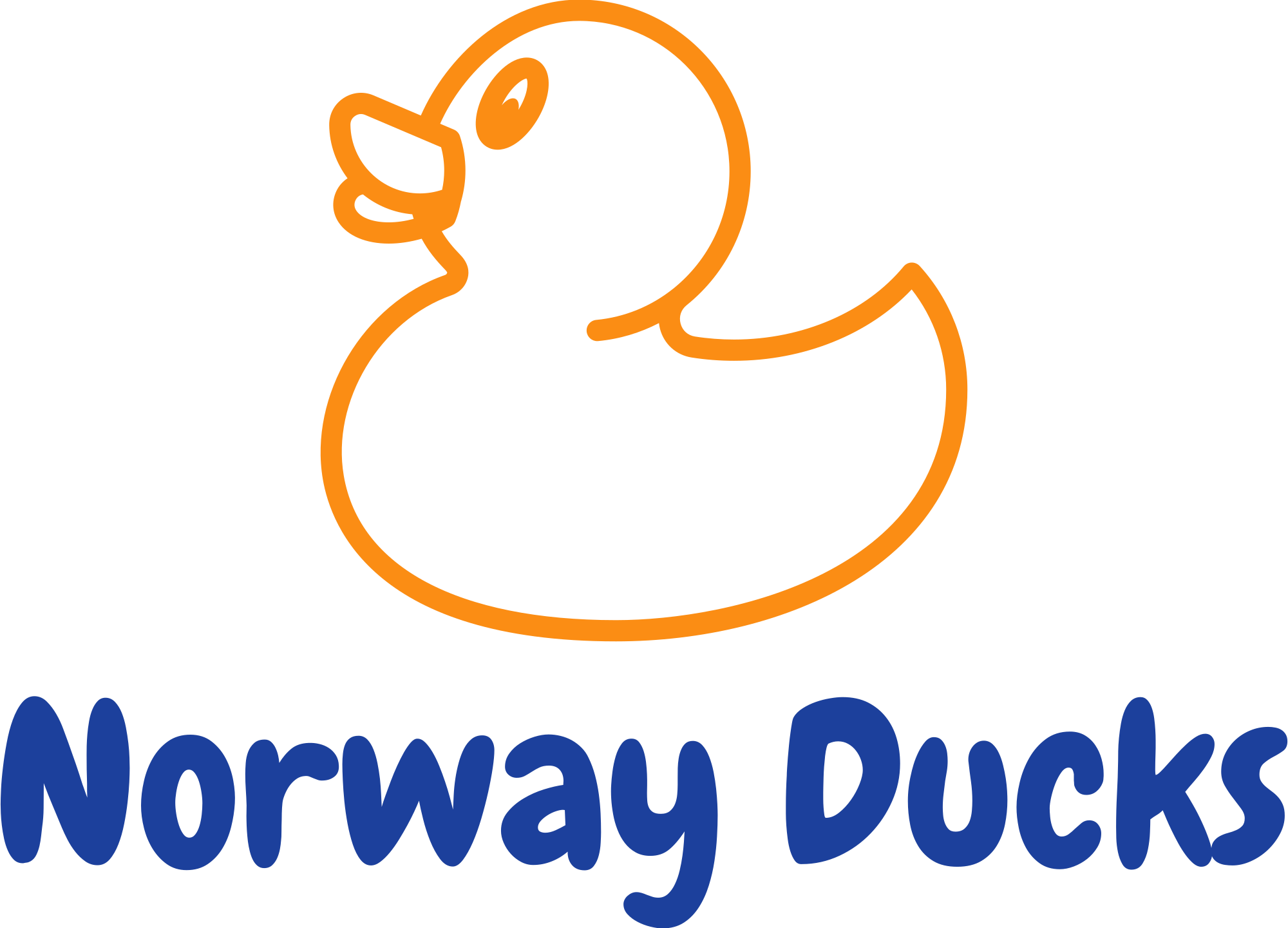 Norway Ducks