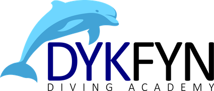 Dykfyn