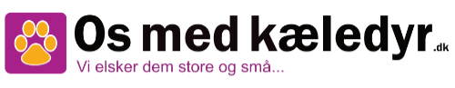 Os med kæledyr